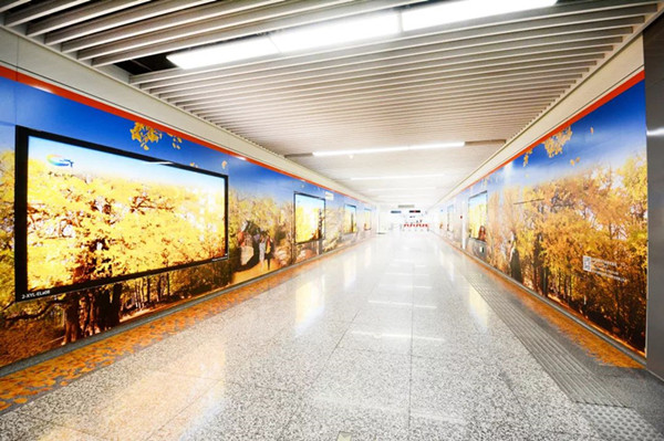 腾冲旅游杭州地铁广告