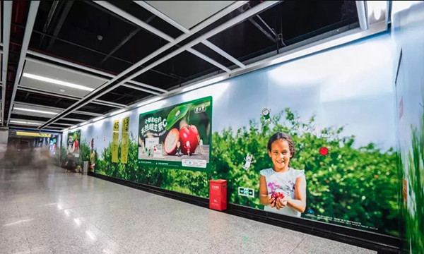 重庆地铁品牌墙广告成了一片“樱桃林”