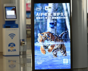 天津滨海机场刷屏机广告怎么投?
