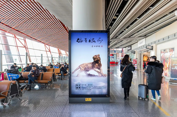 大美中国艺术展机场广告投放案例