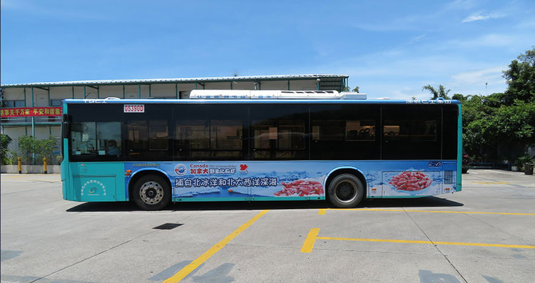加拿大北极虾深圳公交车广告1
