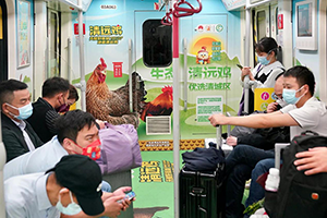 清远鸡-广州地铁广告