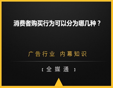 消费者购买行为可以分为哪几种？