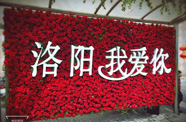 洛阳公交站牌广告