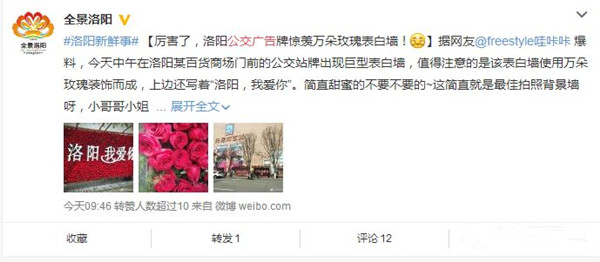 洛阳公交站牌广告