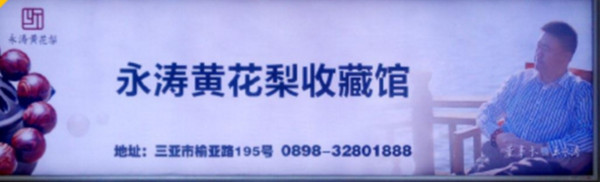 三亚凤凰机场广告