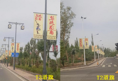 T2T3路灯灯杆道旗广告