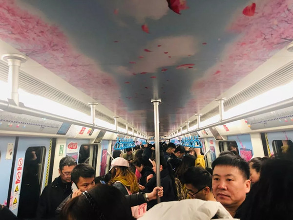 眉山樱花博览园成都地铁广告