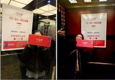 小仙炖燕窝电梯广告