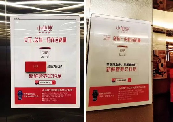 小仙炖电梯广告