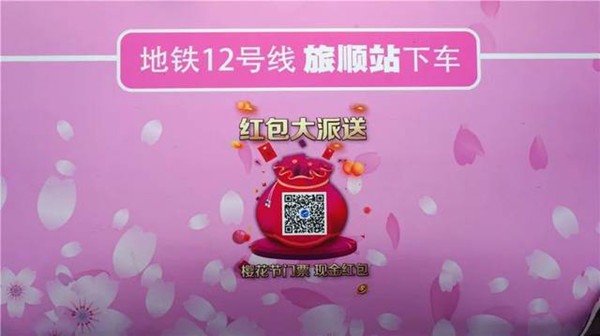 樱花节大连地铁广告