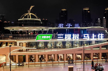 地标广告联动游轮广告，三棵树品牌惊爆上海外滩!