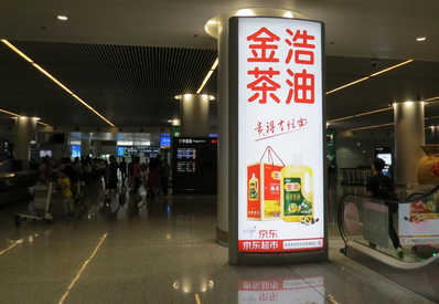 长沙机场到达行李厅竖式图腾柱灯箱广告