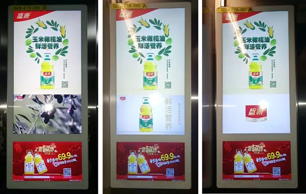 盛洲玉米橄榄油电梯广告