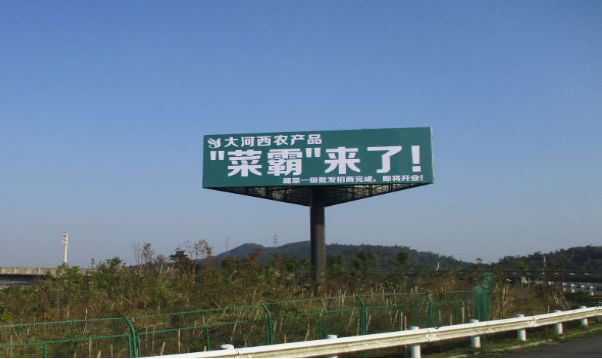 菜霸广告争议 菜霸广告争议