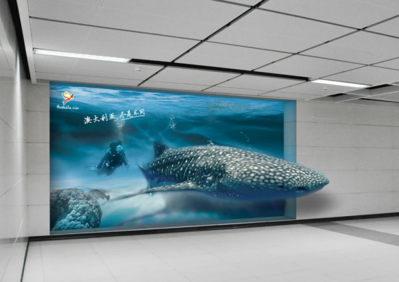 视觉3D 视觉3D