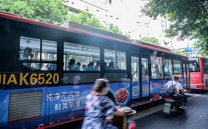 北极虾成都公交车广告05