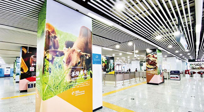 五一广场站C区品牌站厅广告 五一广场站C区品牌站厅广告