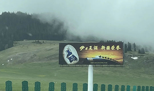 新疆高速立柱大牌广告案例，乌鲁木齐高速广告酒类广告案例