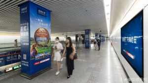 上海地铁花木路站广告价格多少钱？上海地铁会展广告案例亚宠展
