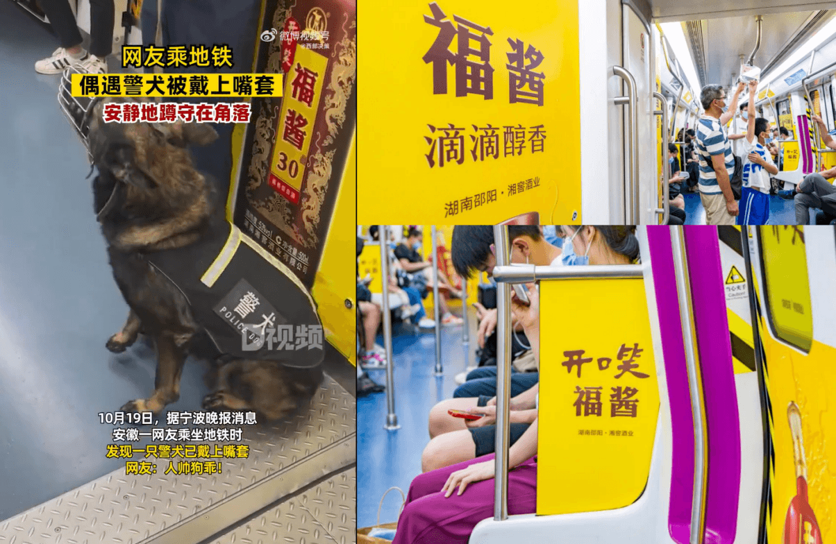 长沙地铁广告价格多少钱？长沙地铁列车内包车广告全线覆盖酒案例