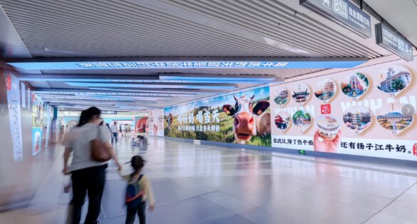 扬子江鲜牛奶-武汉地铁广告