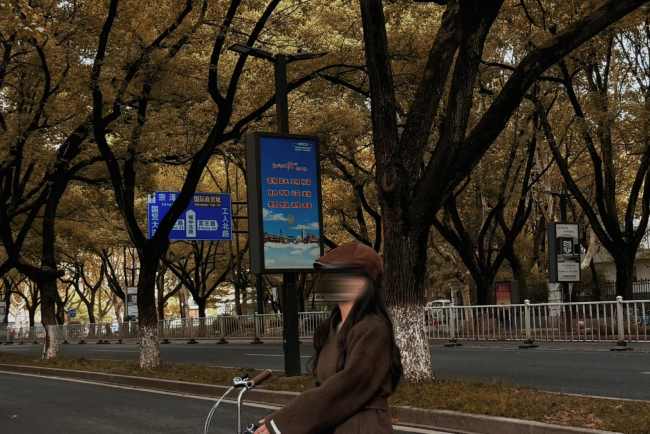 第一户外传媒-义乌路灯杆灯箱广告