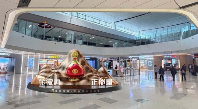 第一户外传媒-西安机场出发大厅展位广告