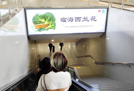 第一户外传媒-临海站站台层梯顶灯箱