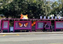 东莞公交组合广告：移动 + 定点，全域覆盖城市核心客流