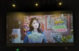 我的花园世界游戏-院线广告