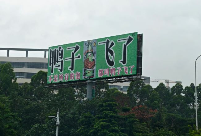 蓝天映衬鸭翅广告，广深高速出行好伴侣实拍图